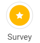 survey